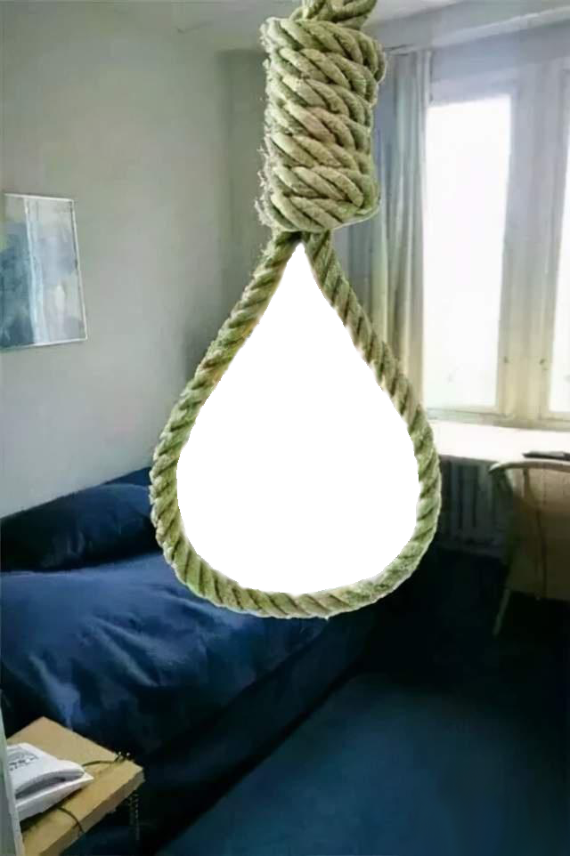 二次元入口