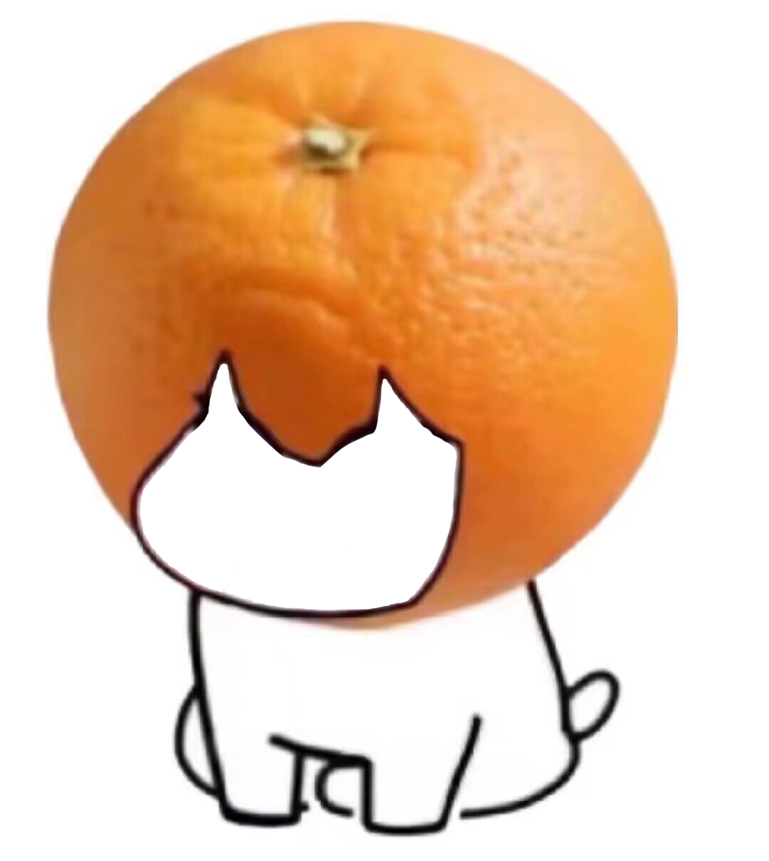 🍊