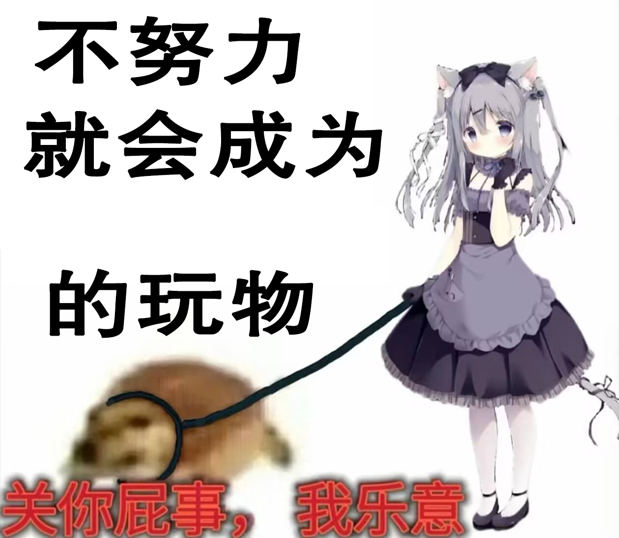别人的玩物