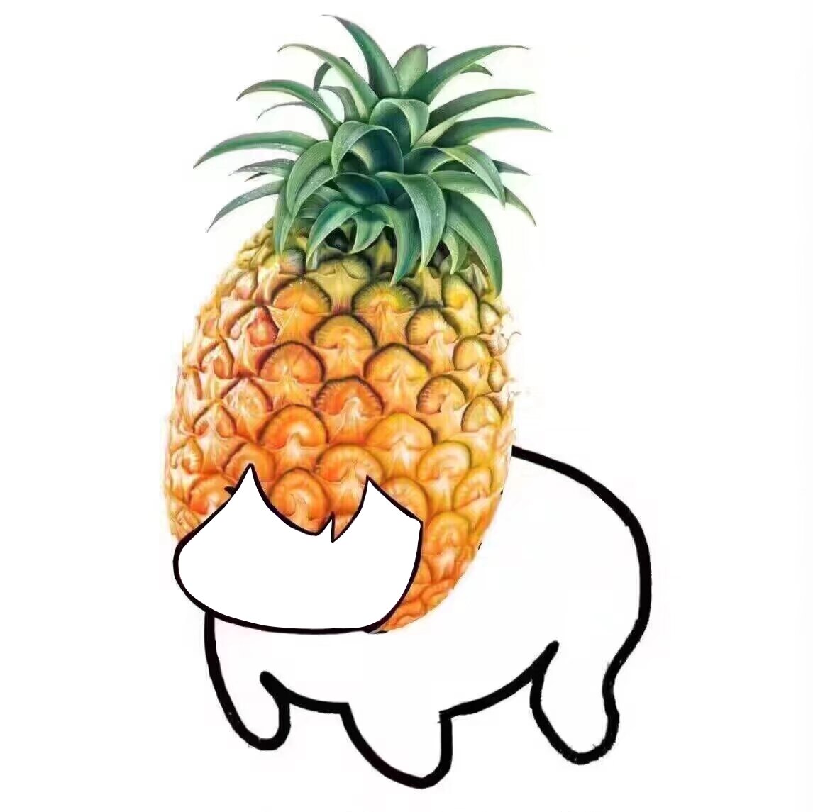 🍍