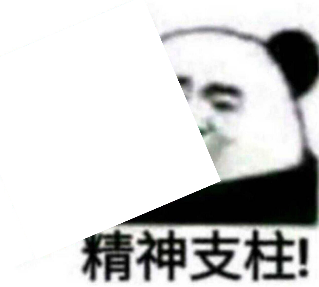 精神支柱
