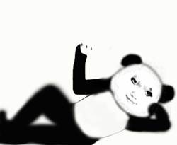 yoyo